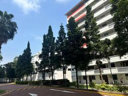 Blk 22 Balam Gardens (Geylang), HDB 3 Rooms #587757321